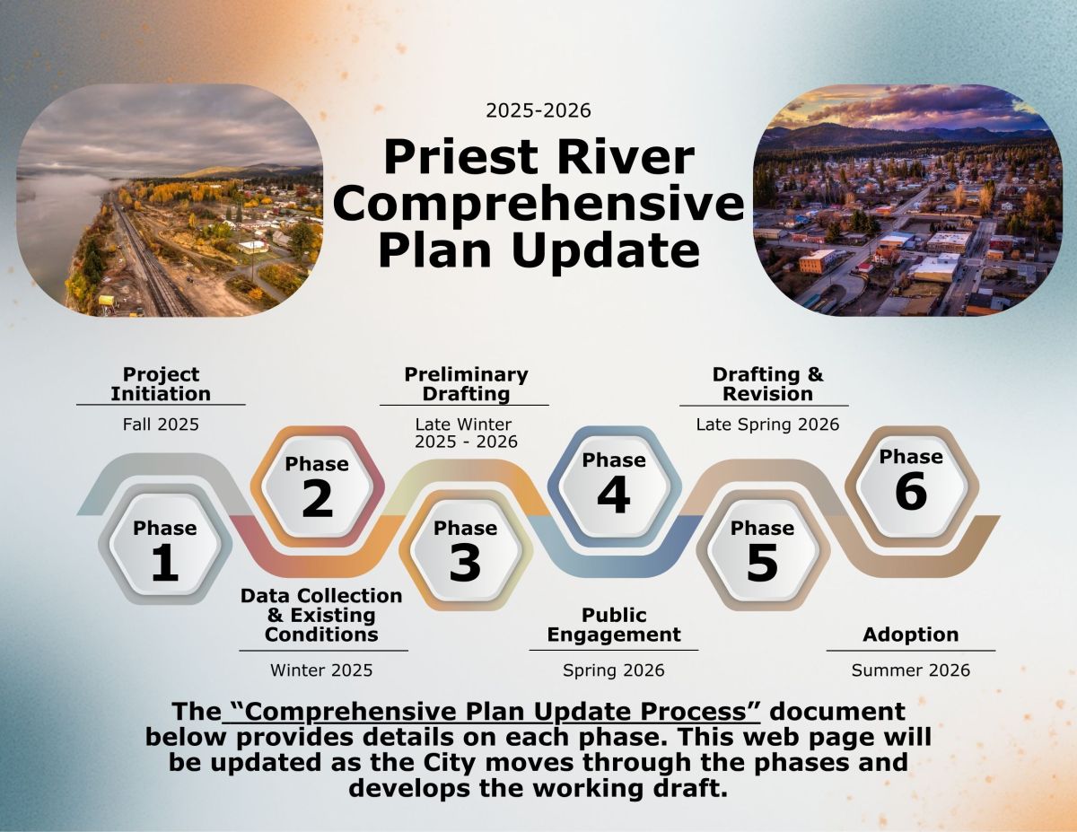 Timeline Flyer